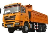 1762968091246-truk-china-shacman_43