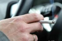 1769058290944-1d909bc9-f9c1-4d41-b6ac-4c70bd9ab618_43